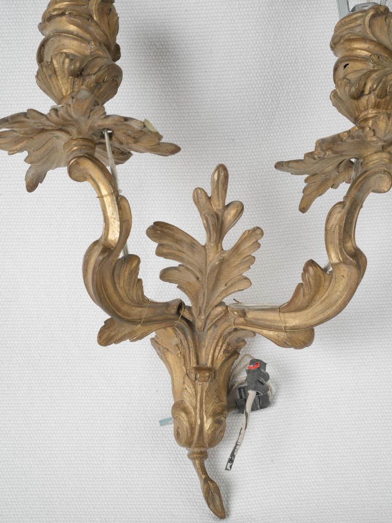 Acanthus leaf embellished bronze sconces