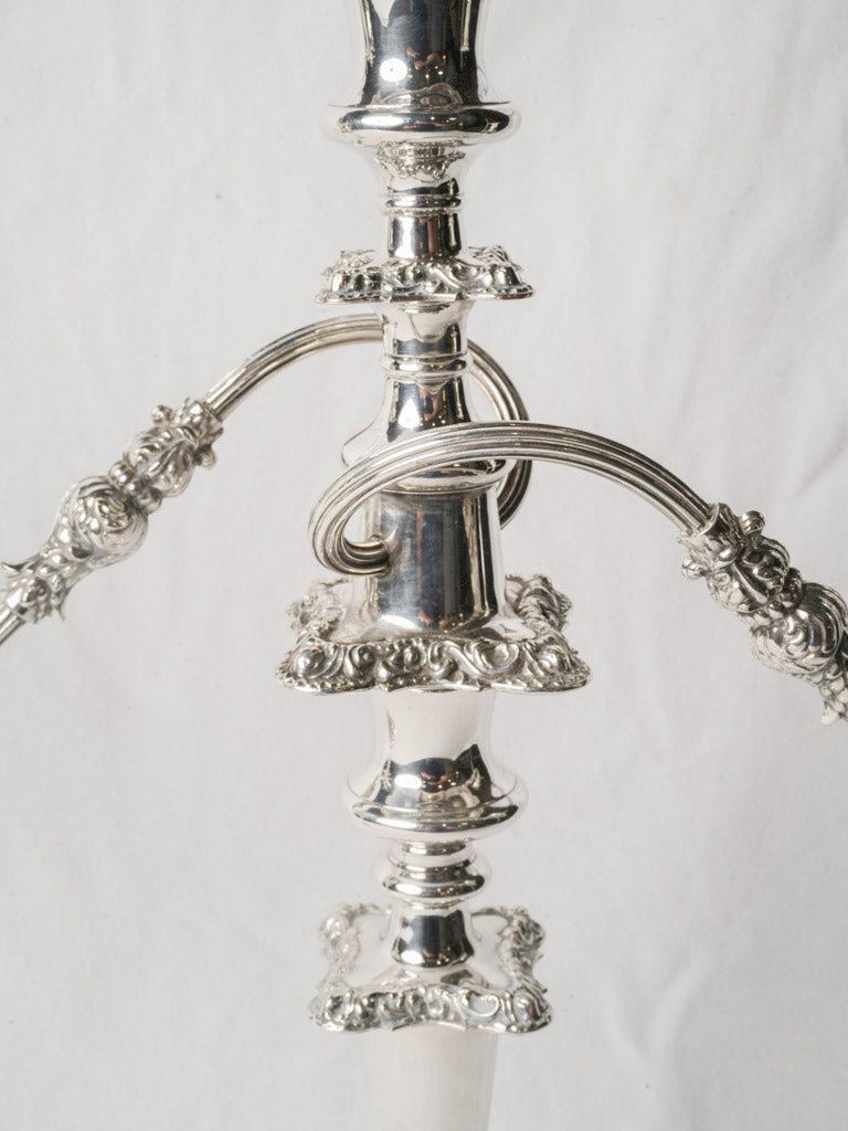 Decorative finely cast foliate candelabra