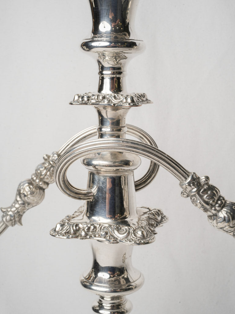 Distinctive patina detailed candelabra set