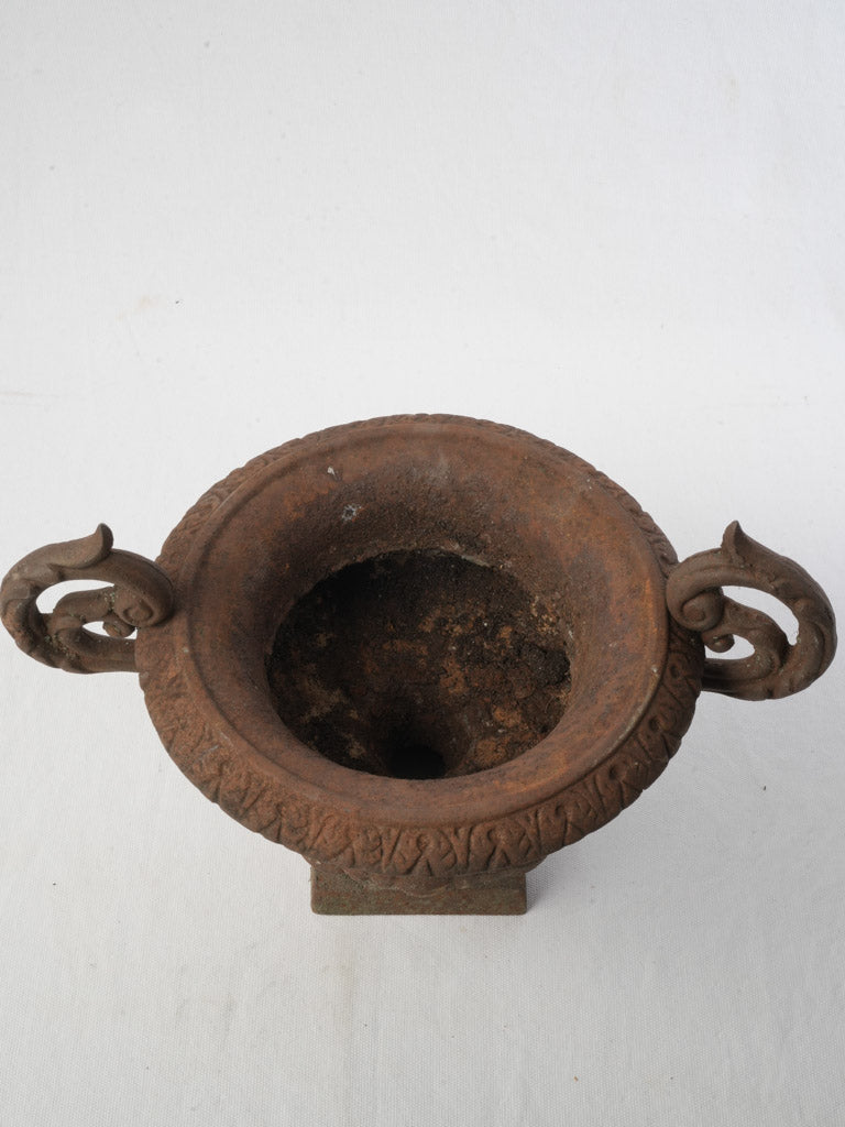 Leaf-tip border Medici urn  