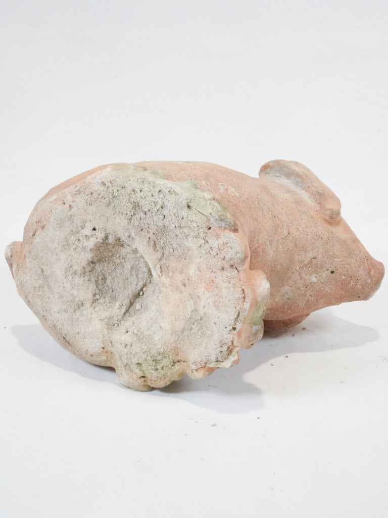 Sturdy concrete garden pig figurine