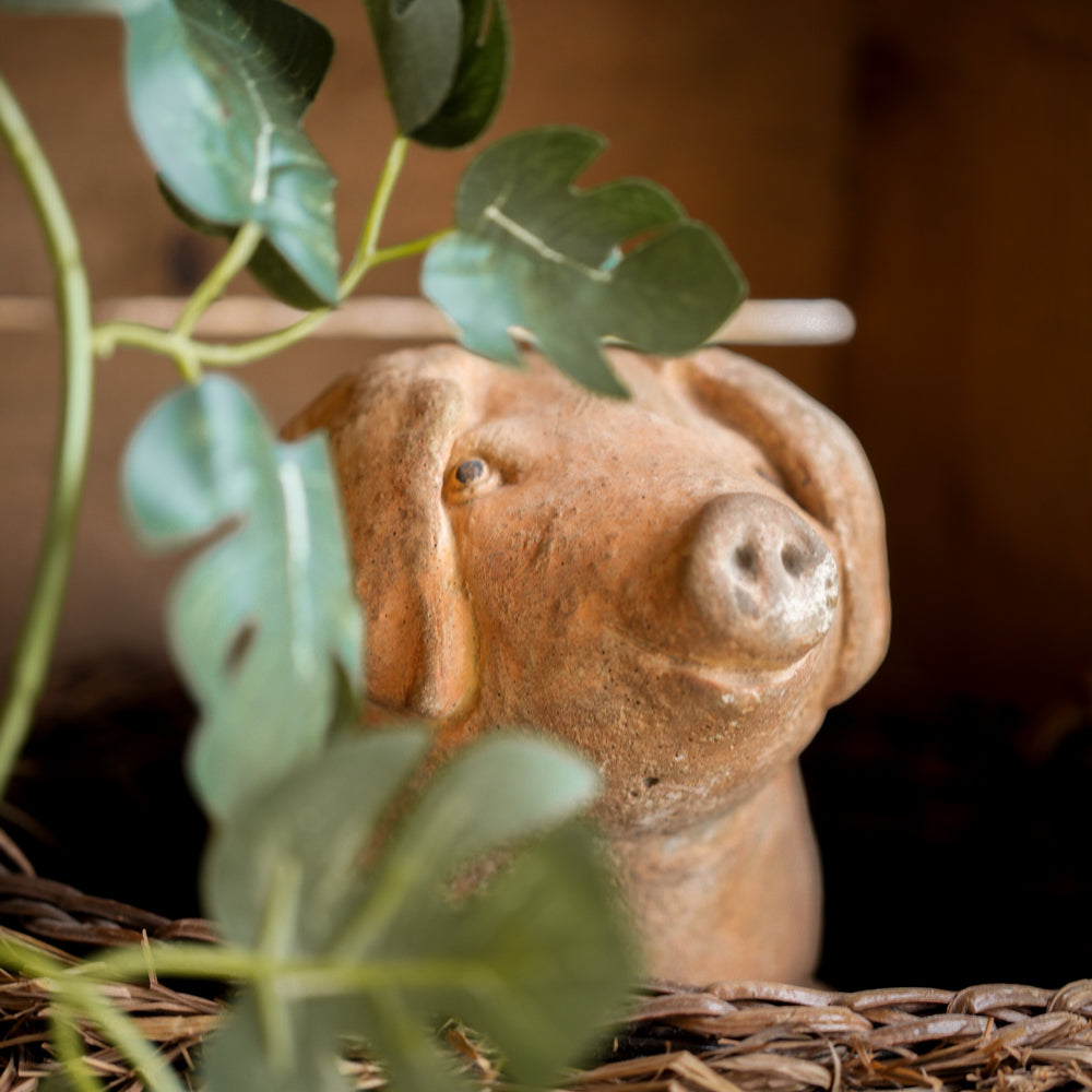 Vintage style concrete garden pig ornament