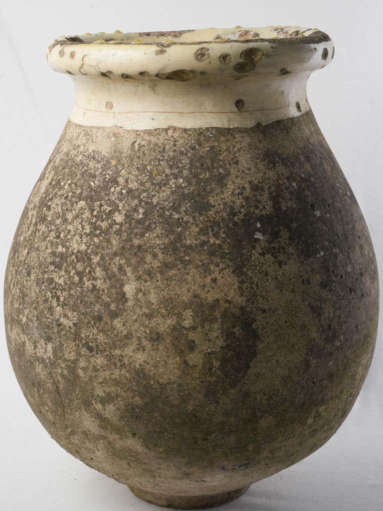 Distinctive moss-covered French urn