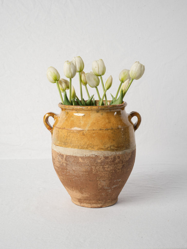 French Terracotta Confit Pot w/ Variegated Honey Glaze - 11"