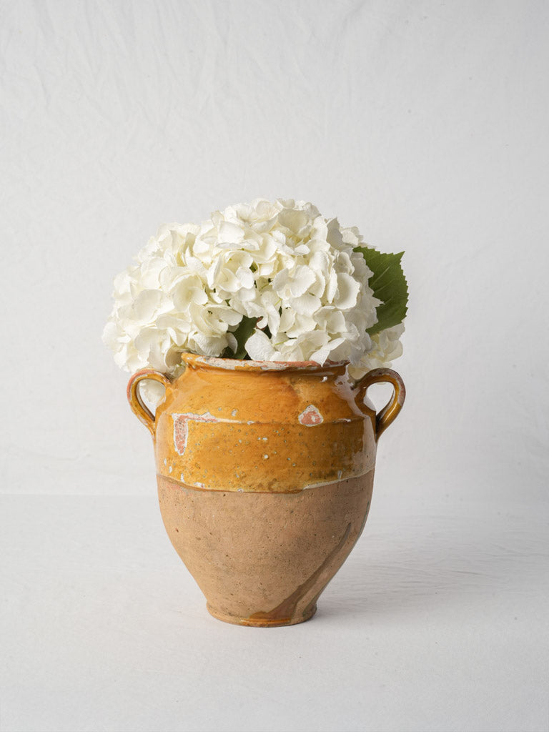 Antique French Ochre Glazed Terracotta Confit Pot - 11¾"