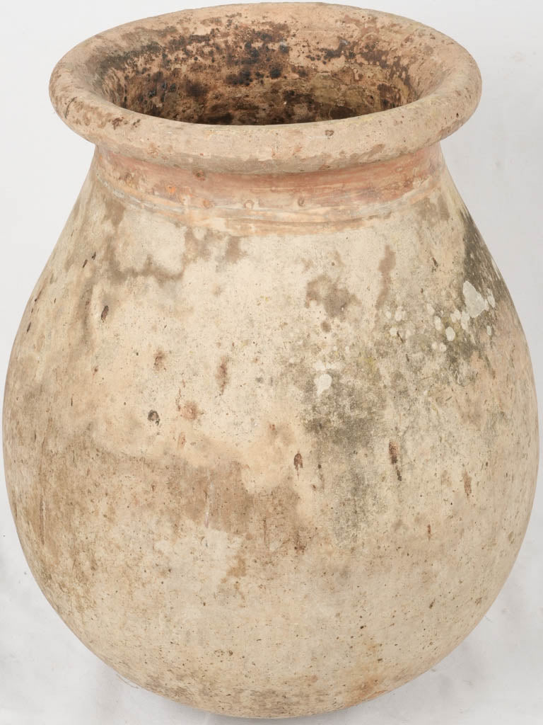 Patina, Antique French Olive Jar