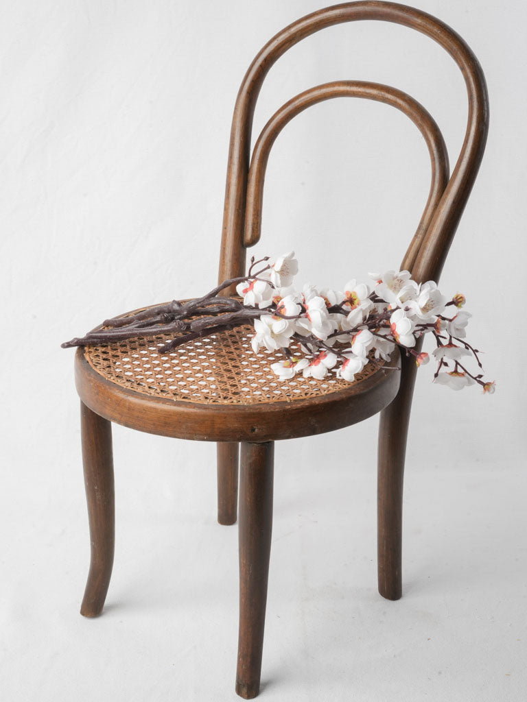 Early 20th Century Child’s Bentwood Chair - 25¼"