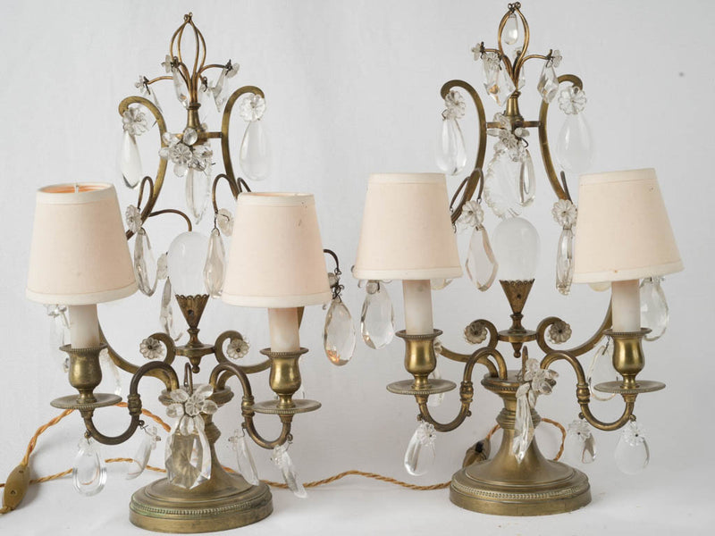 Intricate French floral brass lamps
