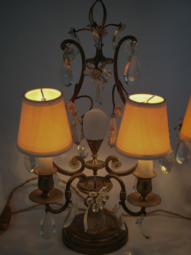 Elegant 19th-century brass girandole lamps