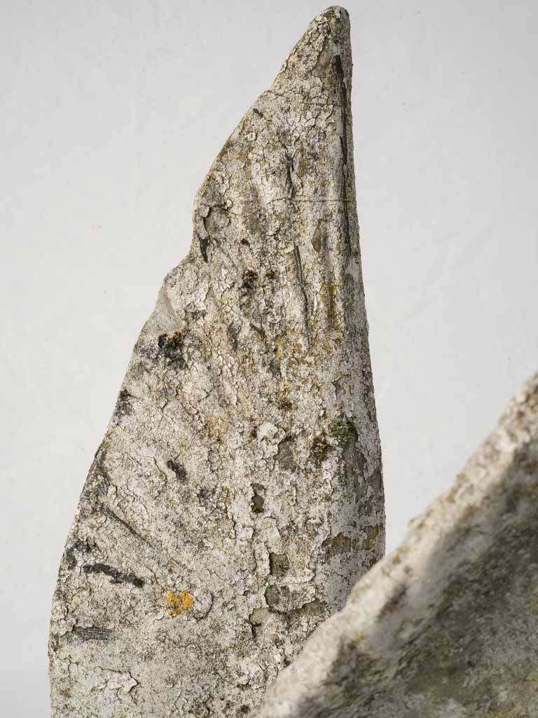 Rustic naturalistic concrete bird artwork  