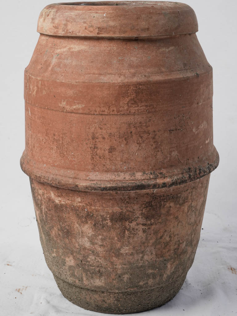 Rustic olive storage container