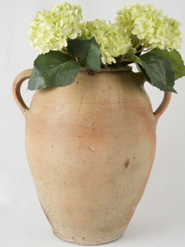 Aged terracotta loop-handled olive pot