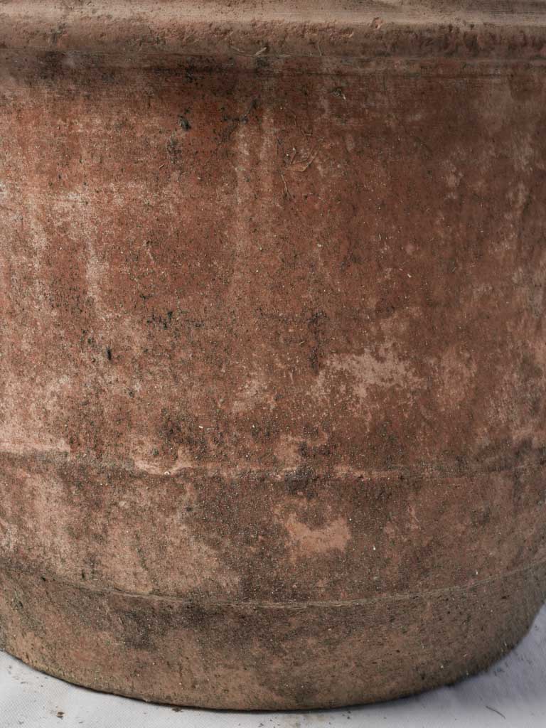Textured Sculptural Accent Piece  
