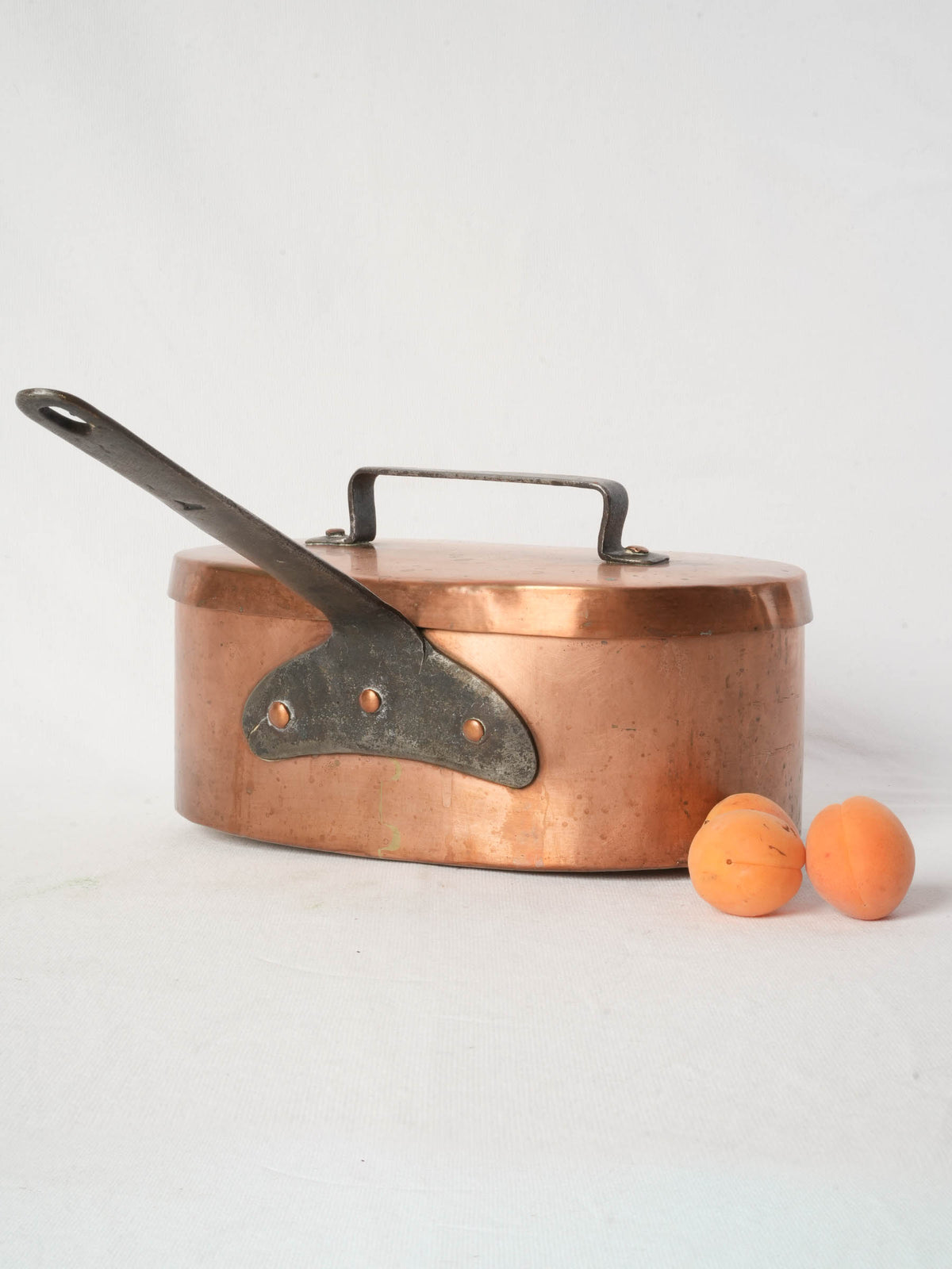 French Copper Daubière with Wrought Iron Handle from Chanteduc