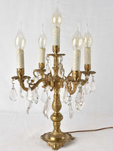 Gilt bronze foliage light fittings