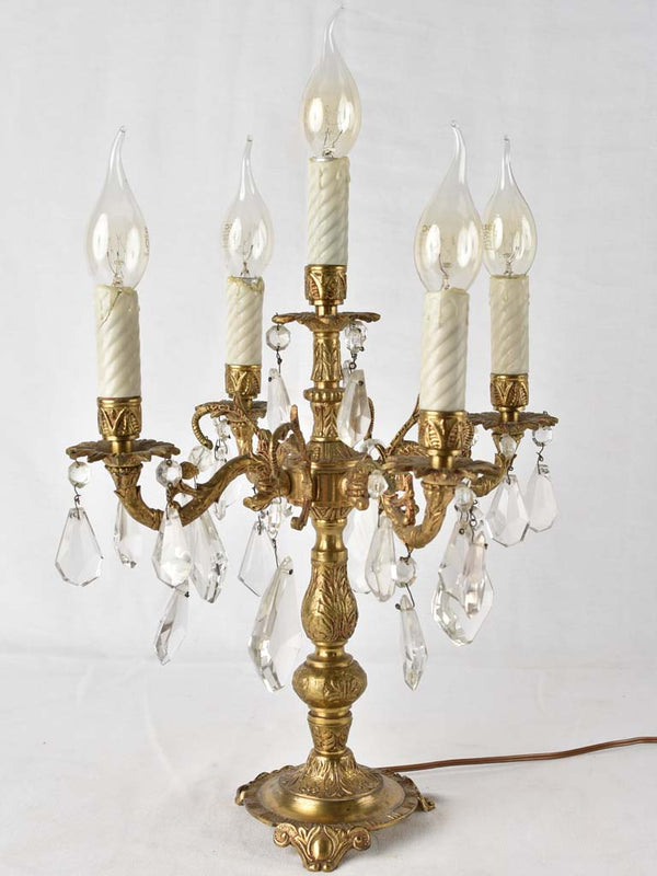 Gilt bronze foliage light fittings