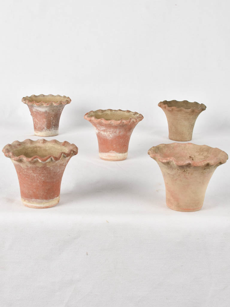 5 adorable flower pots - terracotta w/ rippled edge 3½"