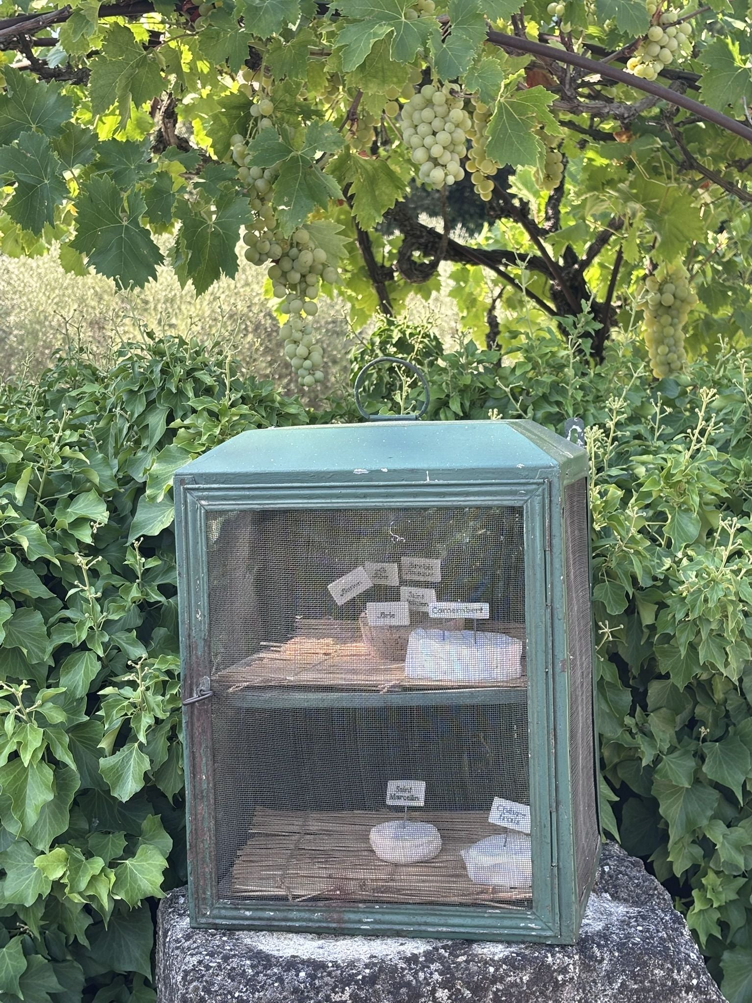 Antique French Garde-Manger / Food Safe w/ Green Patina