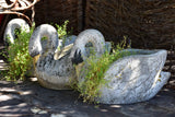 French swan mid-century garden planters