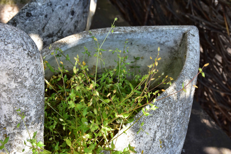 French swan mid-century garden planters