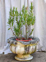 Large mid century French garden urn - Louis XV style 27½"