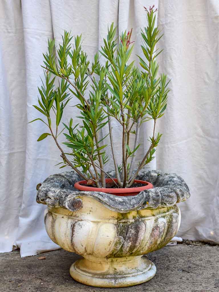 Large mid century French garden urn - Louis XV style 27½"