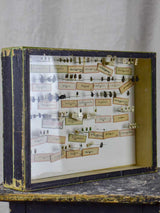 Historic specimen collection of entomology insects