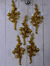 Set of five giltwood wall sconces