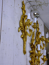 Set of five giltwood wall sconces