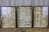 Identified Rare 19th Century Insects Collection
