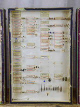 Dated 19th Century Insect Display 