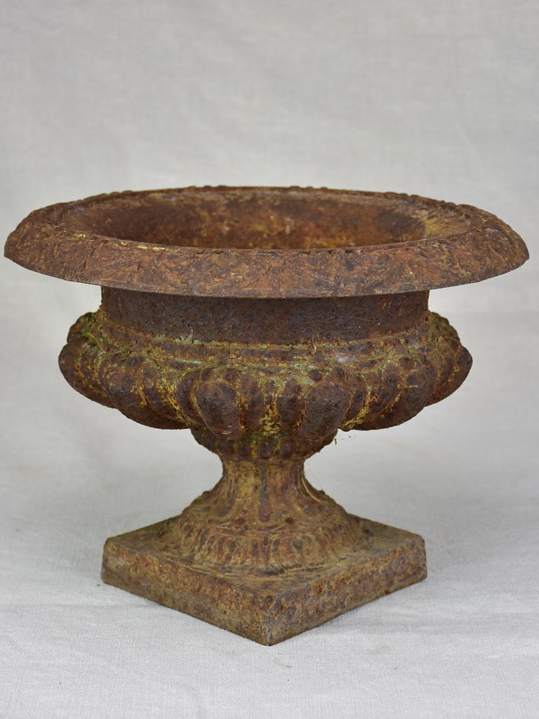 Nineteenth Century cast iron Medici urn 9½"
