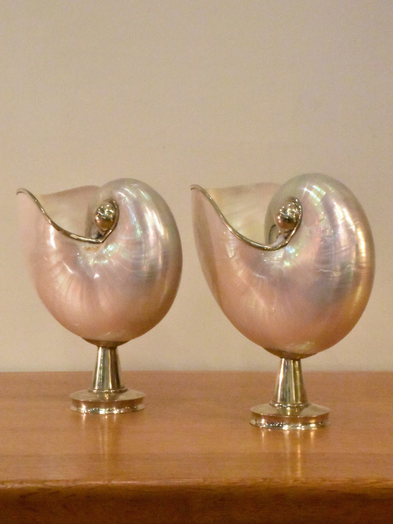 Pair of mounted pearlescent nautilus shells