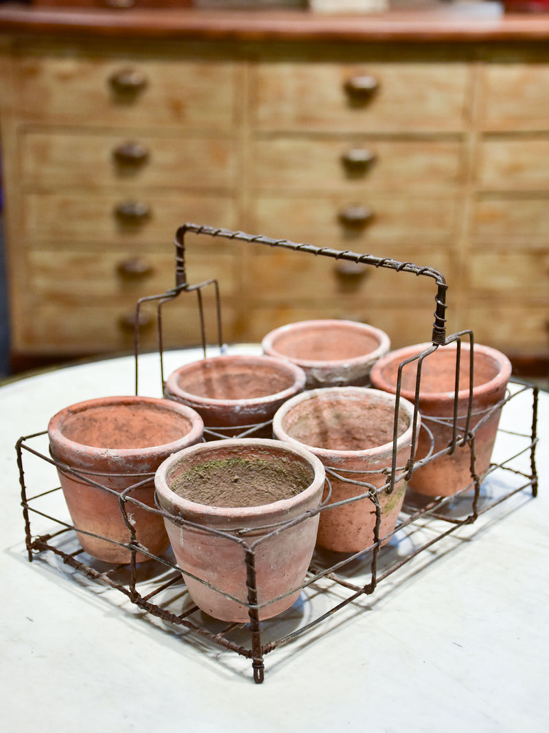 Collection of six terracotta pots in a wire bottle carrier