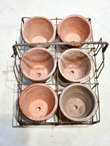 Collection of six terracotta pots in a wire bottle carrier