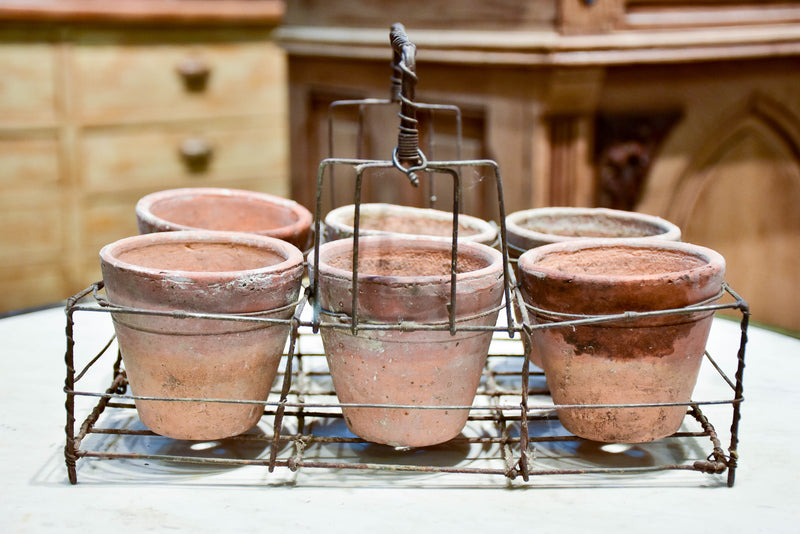 Collection of six terracotta pots in a wire bottle carrier