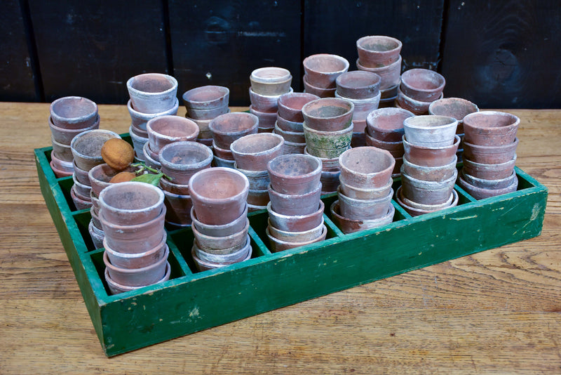 Collection of six vintage terracotta garden pots