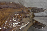 Large wall mounted French horse head