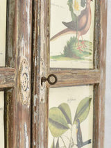Vintage botanic art in salvaged window frame 42¼" x 35"