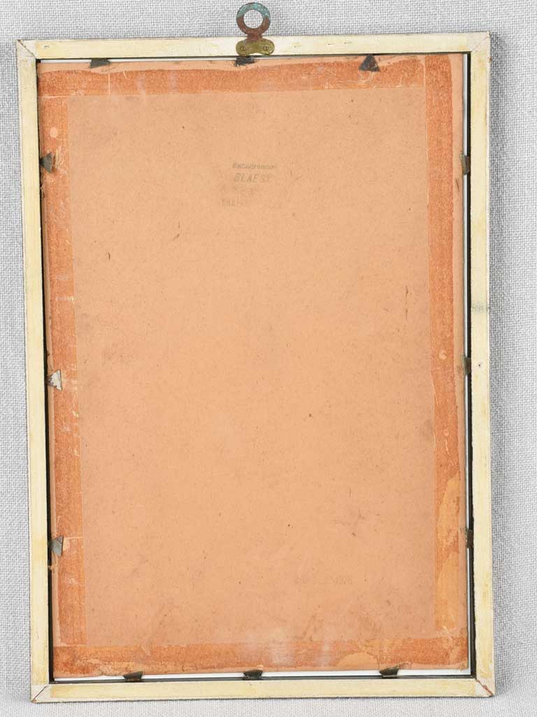 Early 20th century botanic art - aubepine 12½" x 8¼"
