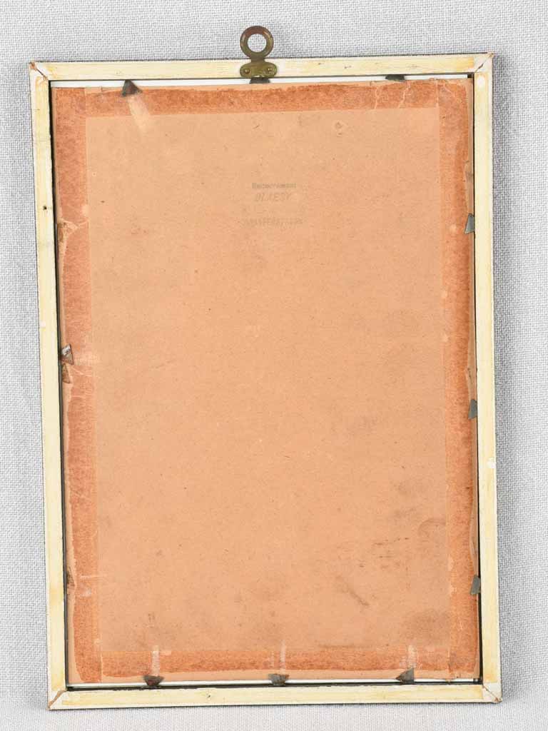 Early 20th century botanic art - luzerne falciforme 12½" x 8¼"