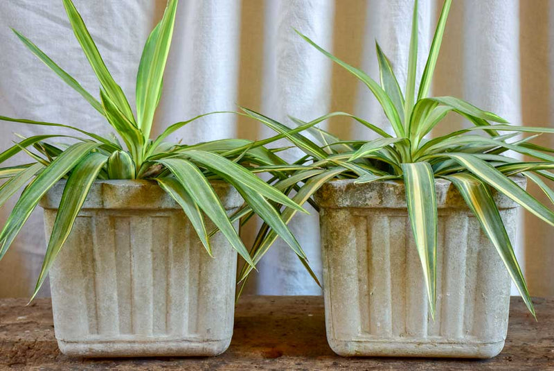 Pair of small square Willy Guhl garden planters