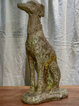 Mid century French garden sculpture of a greyhound