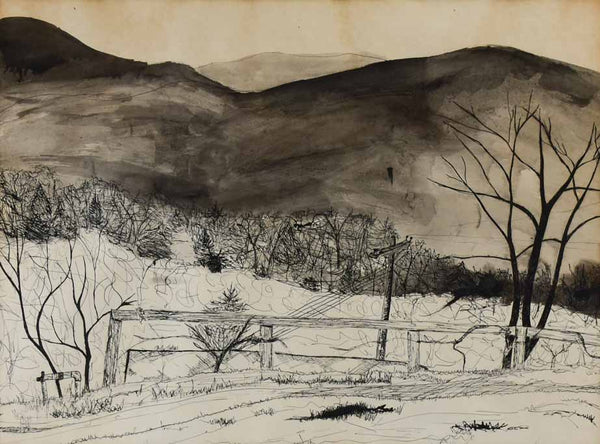 Ink on paper rural landscape - signed by an Unknown artist circa 1960's - 24½" x 30"