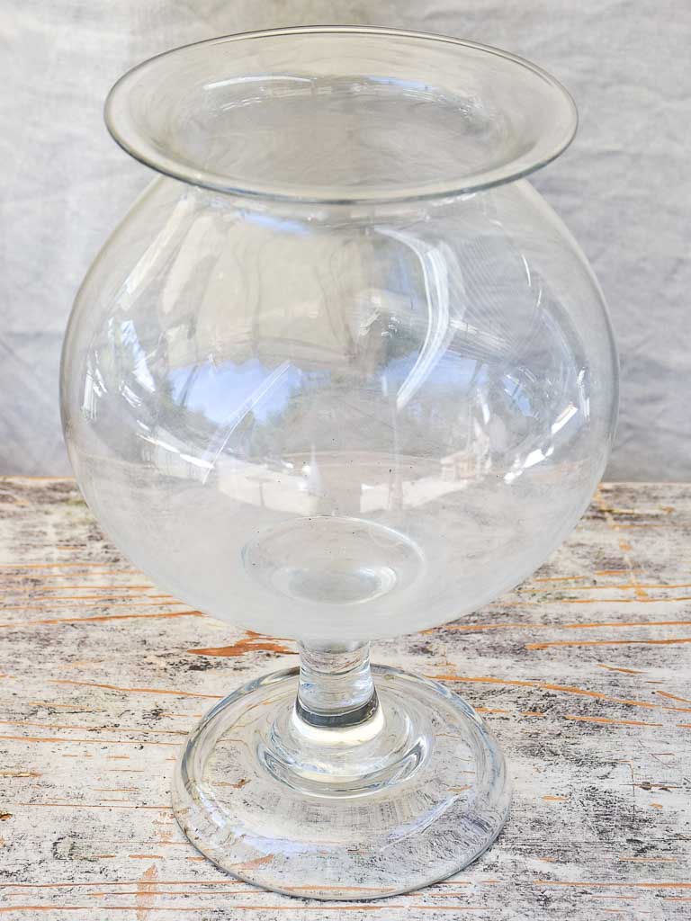 Antique French glass apothecary jar - sangsue
