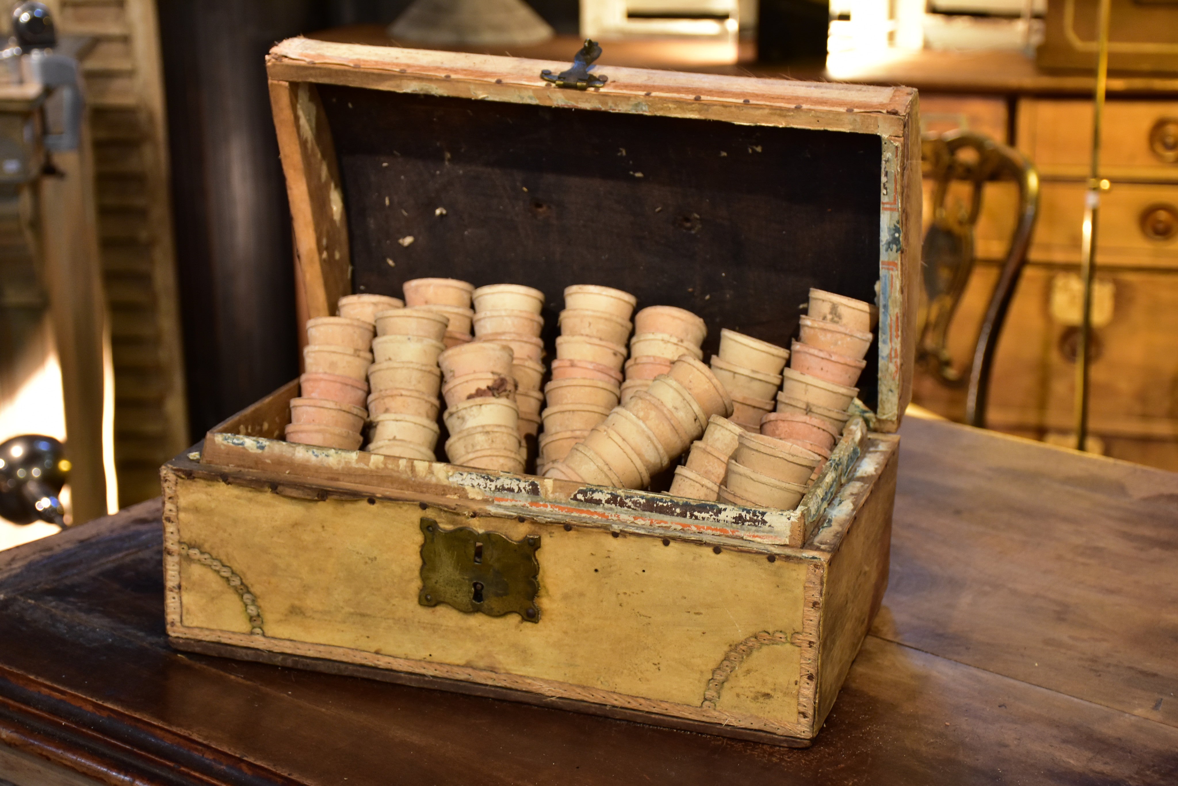 Early 19th century French filing chest with a collection of miniature garden pots