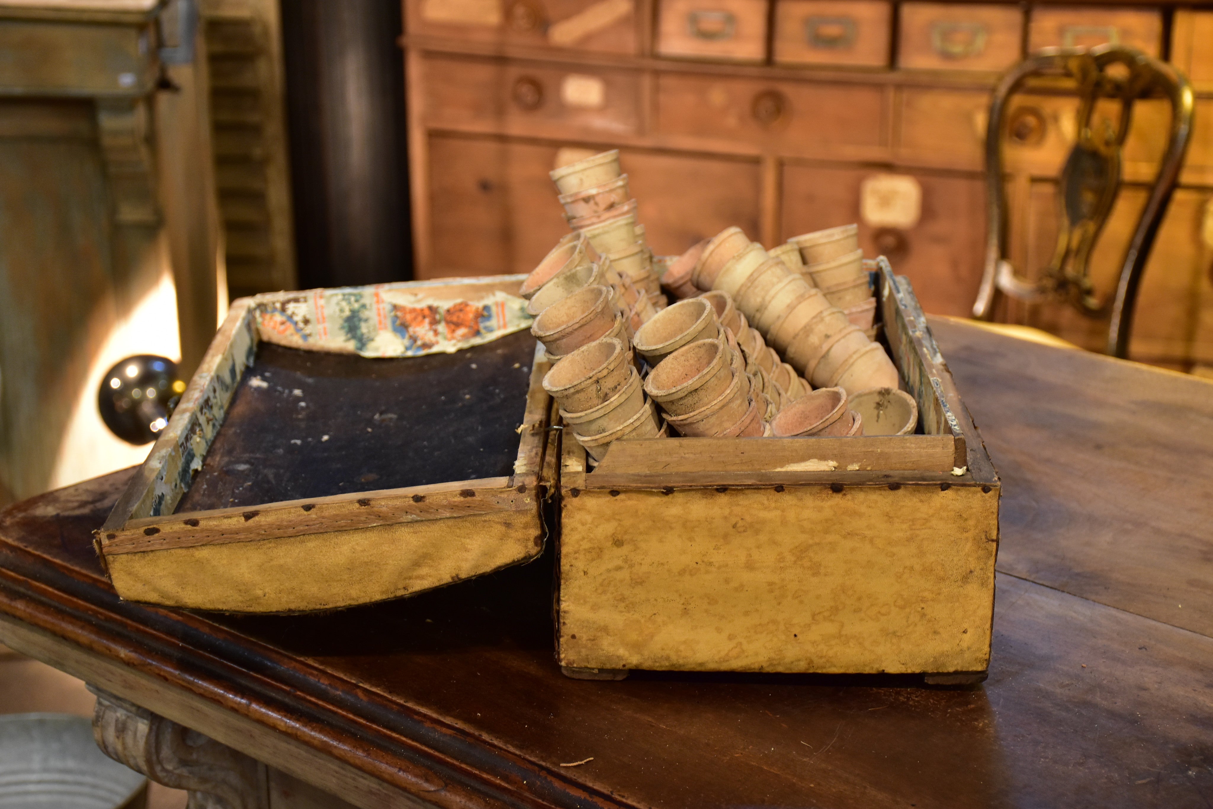 Early 19th century French filing chest with a collection of miniature garden pots