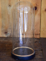 Small Napoleon III specimen dome