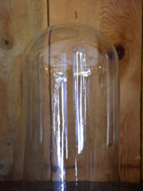 Small Napoleon III specimen dome