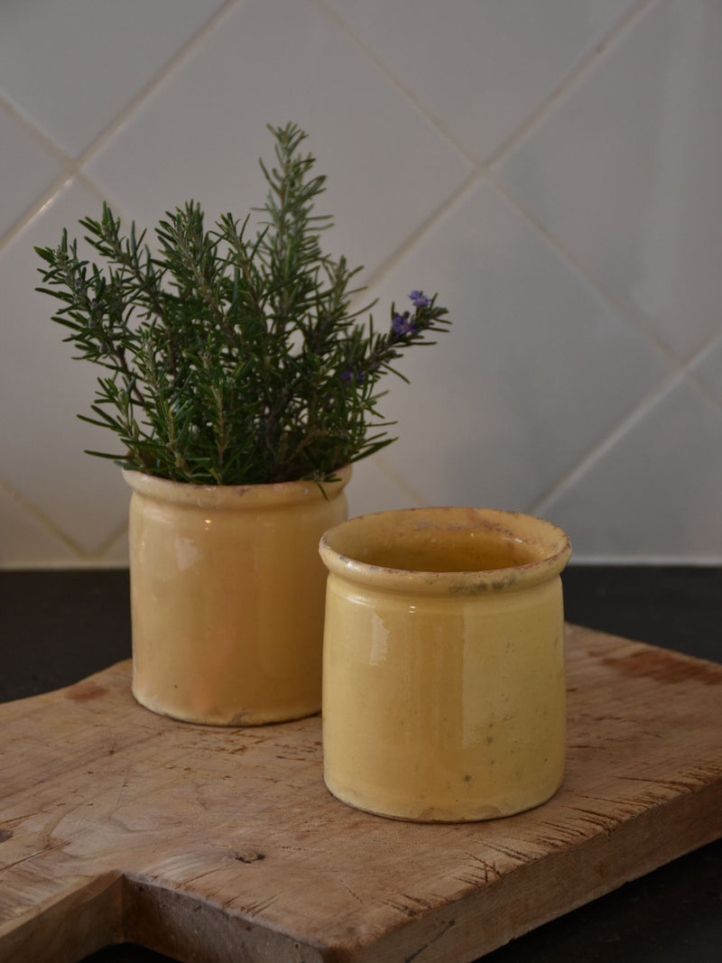 19th century French yellow ware preserving jars - two